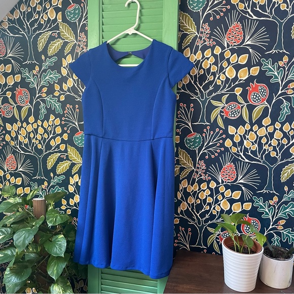 Florence Eiseman Other - NWT Florence Eisman Blue fit and flare cap sleeve dress
